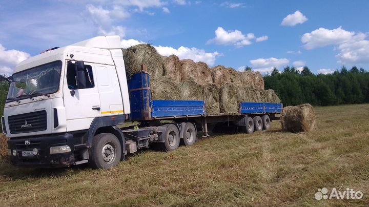 Самосвал, полуприцеп