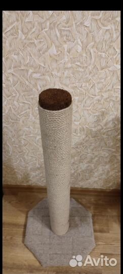 Когтеточка