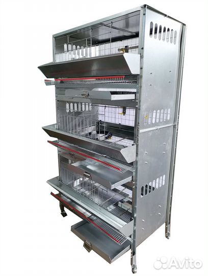 Клеточная батарея для Кур-Несушек