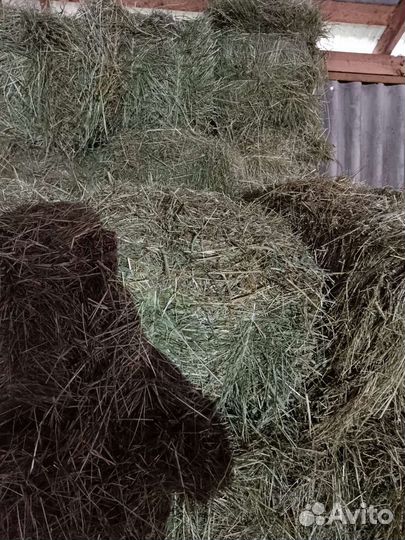 Сено в тюках