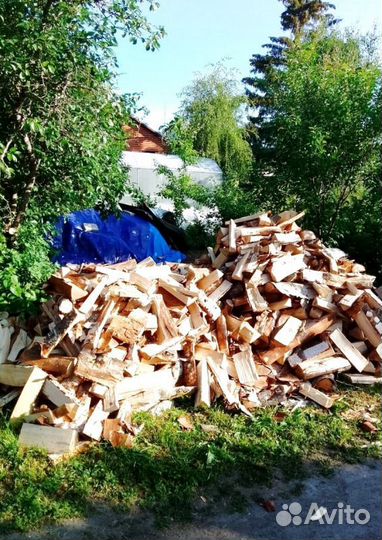 Дрова Береза любого объема в Приозерске