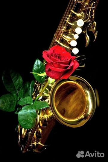 Саксофонист