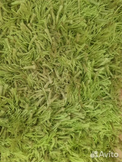 Ковролин шелковый Индия, ковер