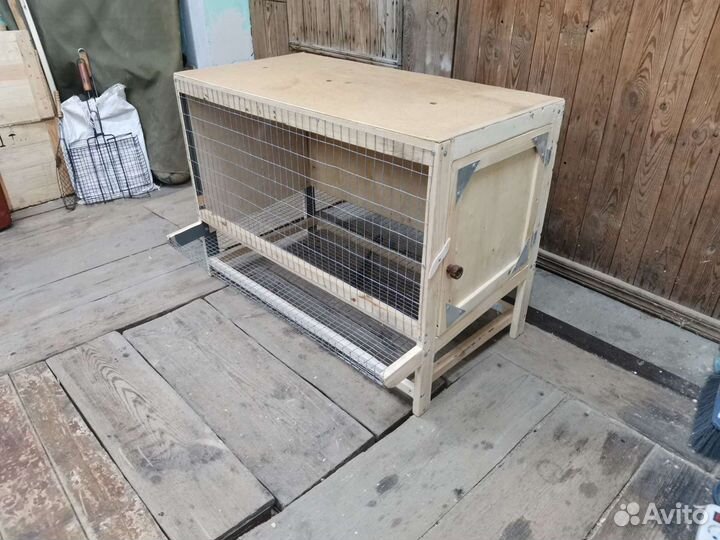 Брудер для цыплят