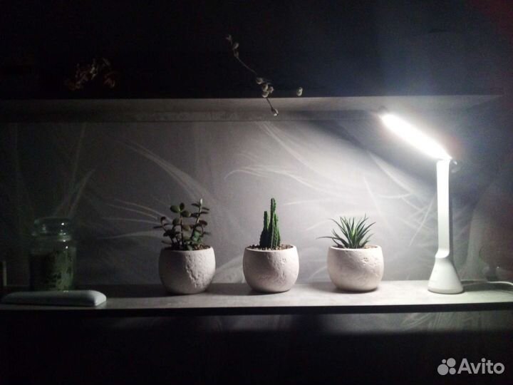 Цветочная композиция из 3 сукулентов