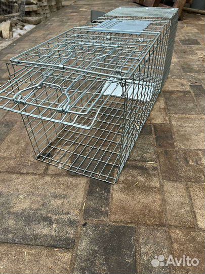 Клетка для ловли животных