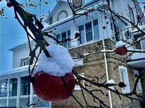 в те дни люди будут искать. в те дни люди будут искать. живые позавидуют мертвым апокалипсис. прекрасные мгновения жизни. и живые позавидуют мертвым остров сокровищ.