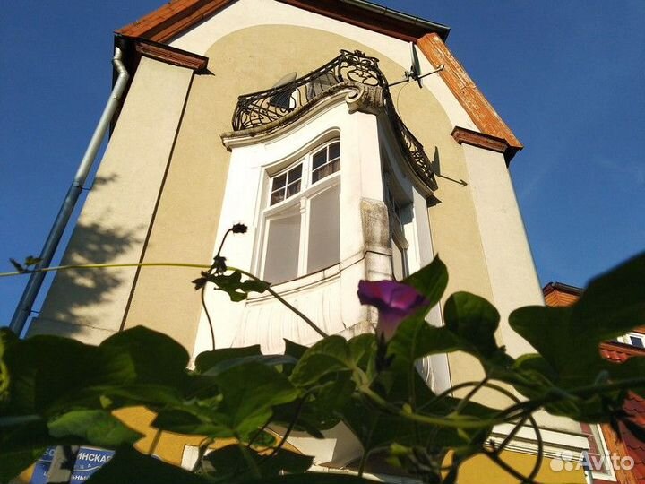 Экскурсия — Калининград — Амалиенау: модерн, истор