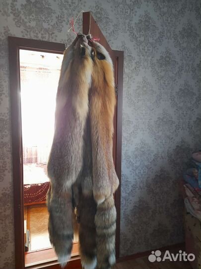 Продаю шкурки лисы