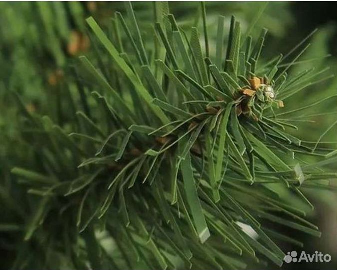 Гирлянда и ель искусственная из пвх, 180