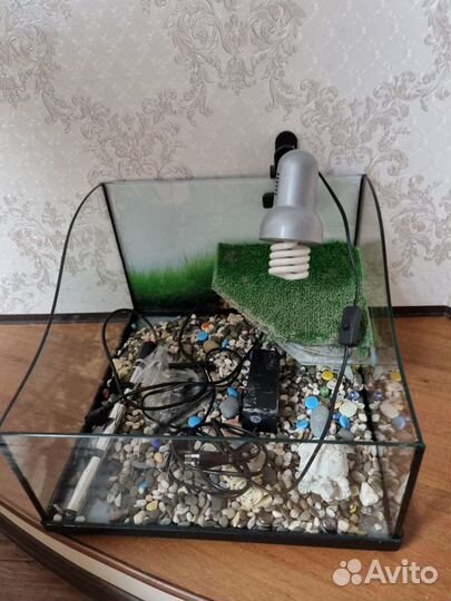 Террариум для черепахи