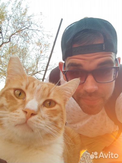 Коуч маркетплейсов Ozon, WB. Ментор.Клуб селлеров