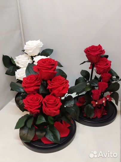 Розы оптом