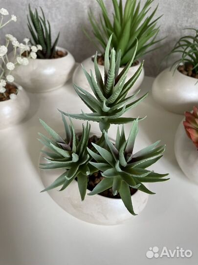 Суккуленты искусственная зелень