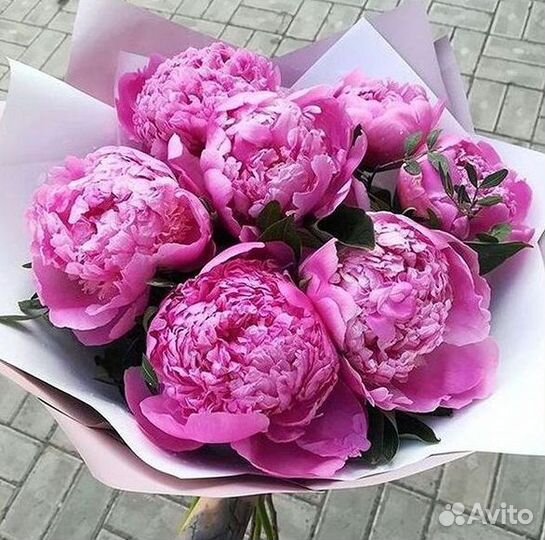 Пионы Розы Доставка