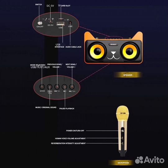 Колонка с 2 микрофонами котик sdrd SD305