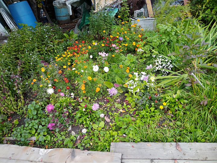 Дача 30 м² на участке 10 сот.