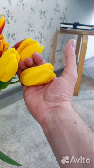 Тюльпаны к 8 марта оптом новосибирск