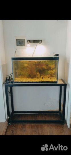 Аквариум 120 л с рыбками и аксессуарами