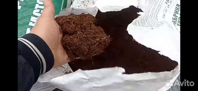 Торф для выращивания рассады