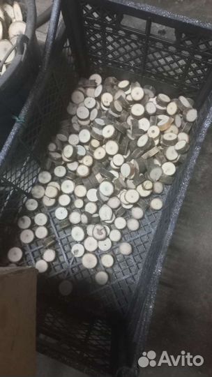 Спилы дерева для декора