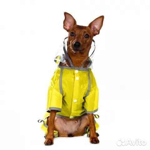 Одежда для собак
