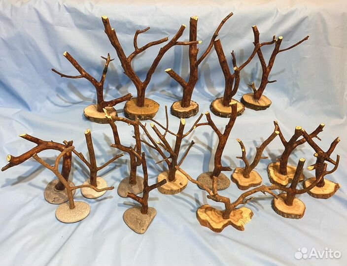 Стволы, Заготовки для бонсай, деревьев из цетрарии