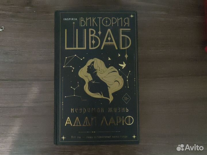 Незримая жизнь адди ларю