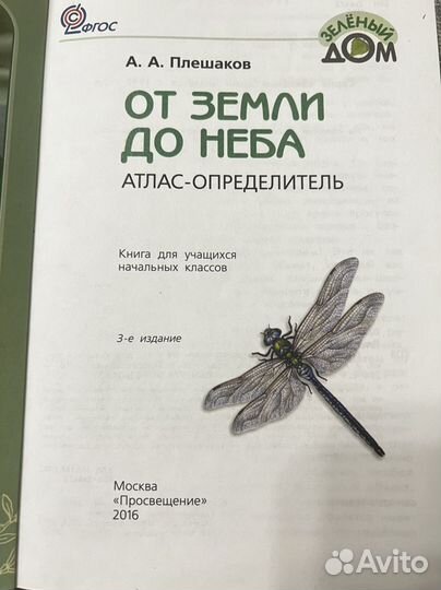 От земли до неба, Великан на поляне