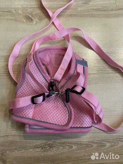 Шлейка для животных