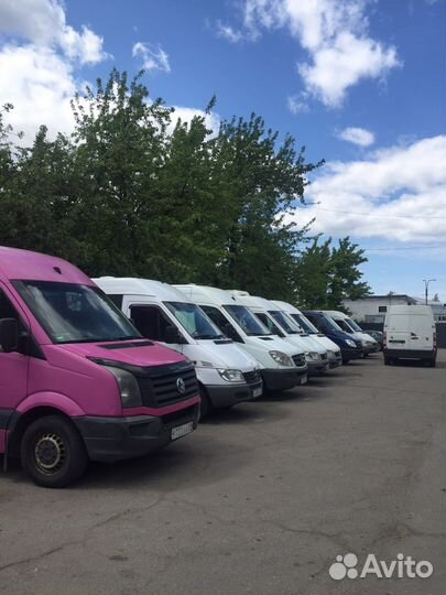 Водитель категории в /экспедитор