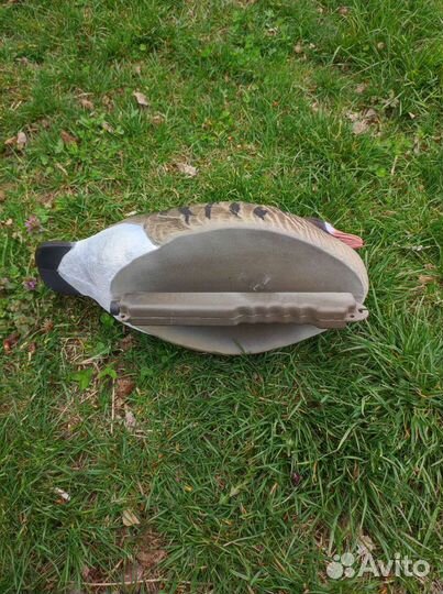 Гусь белолобый плавающий Final Approach FA