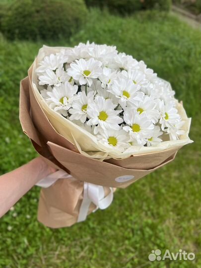 Букет ромашек Цветы Доставка