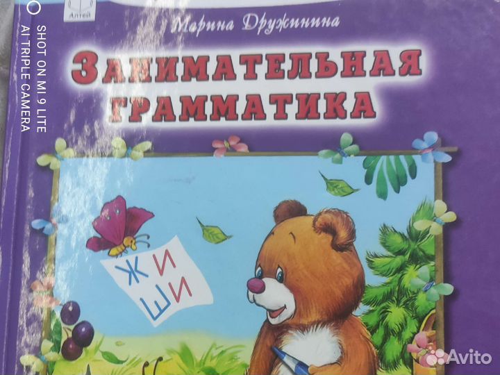 М. Дружинина Занимательная грамматика