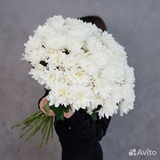 Заказать хризантемы