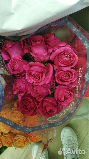 Розы опт Саранск