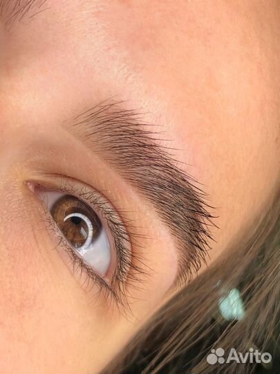 Услуги бровиста