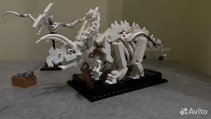 Конструктор набор лего lego Ideas 21320