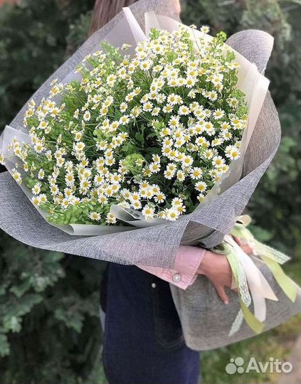 Цветы ромашки