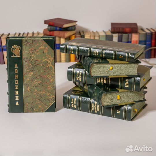 Подарочная книга Канон врачебной науки