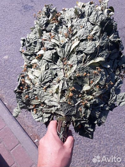 Банные веники и травы для бани