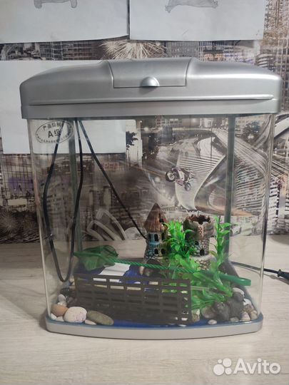 Аквариум