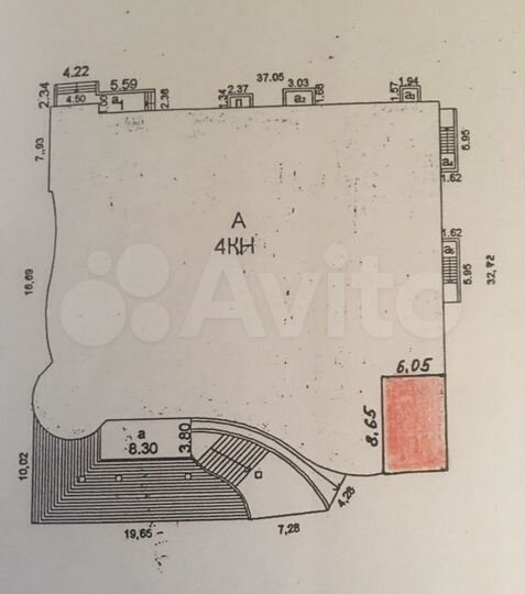 Торговая площадь в ТЦ 