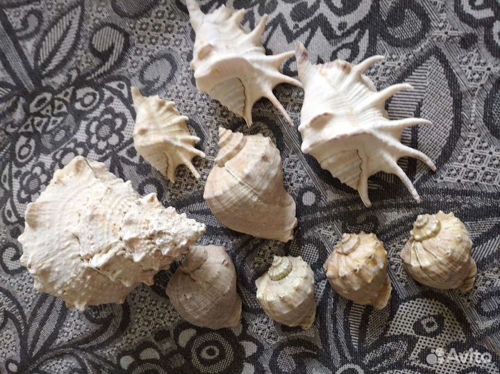 Декорации в аквариум