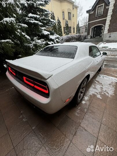 Dodge Challenger 3.6 AT, 2020, 38 804 км