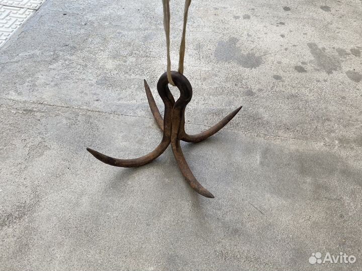 Кошка - Якорь