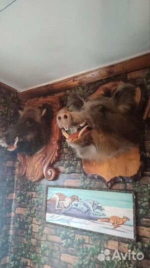 Чучело головы кабана