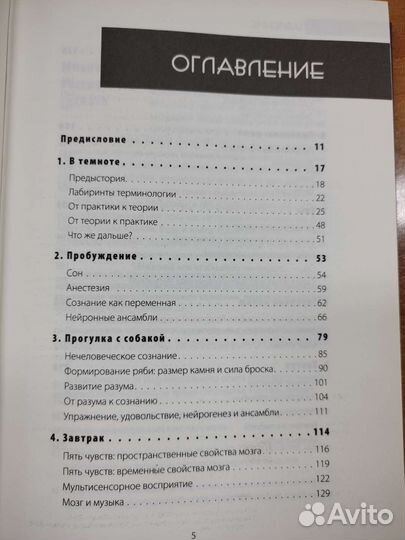 Сьюзан Гринфилд. Один день из жизни мозга