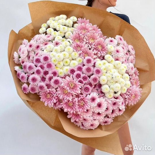 Куст. хризантема с беспл. доставкой