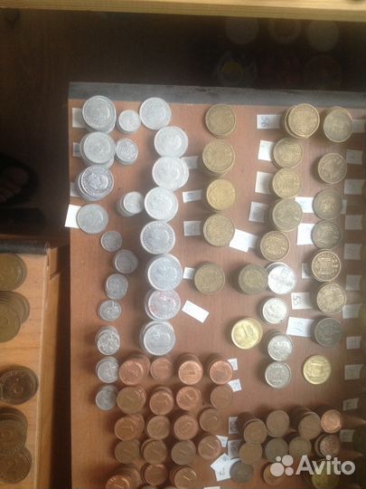 Погодовка Испании